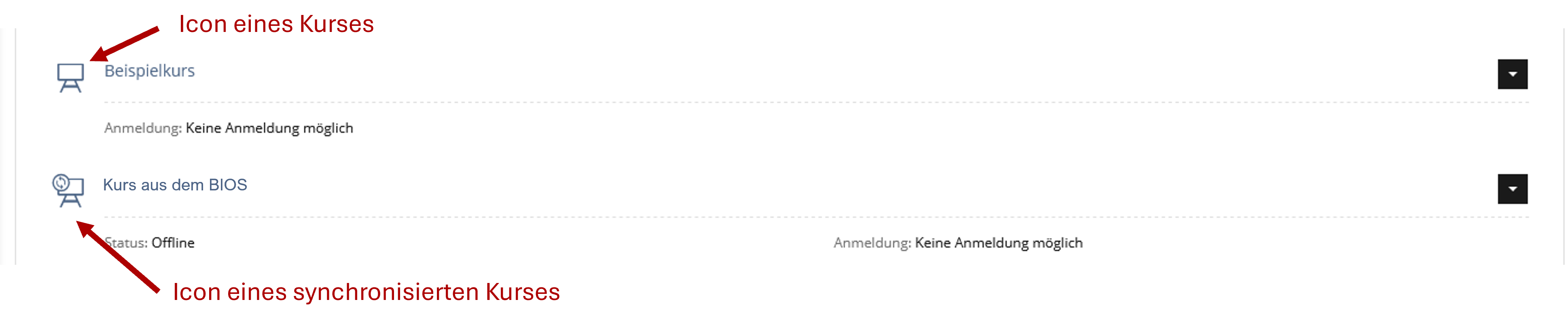 Kurs Icons-20250924-063306.png