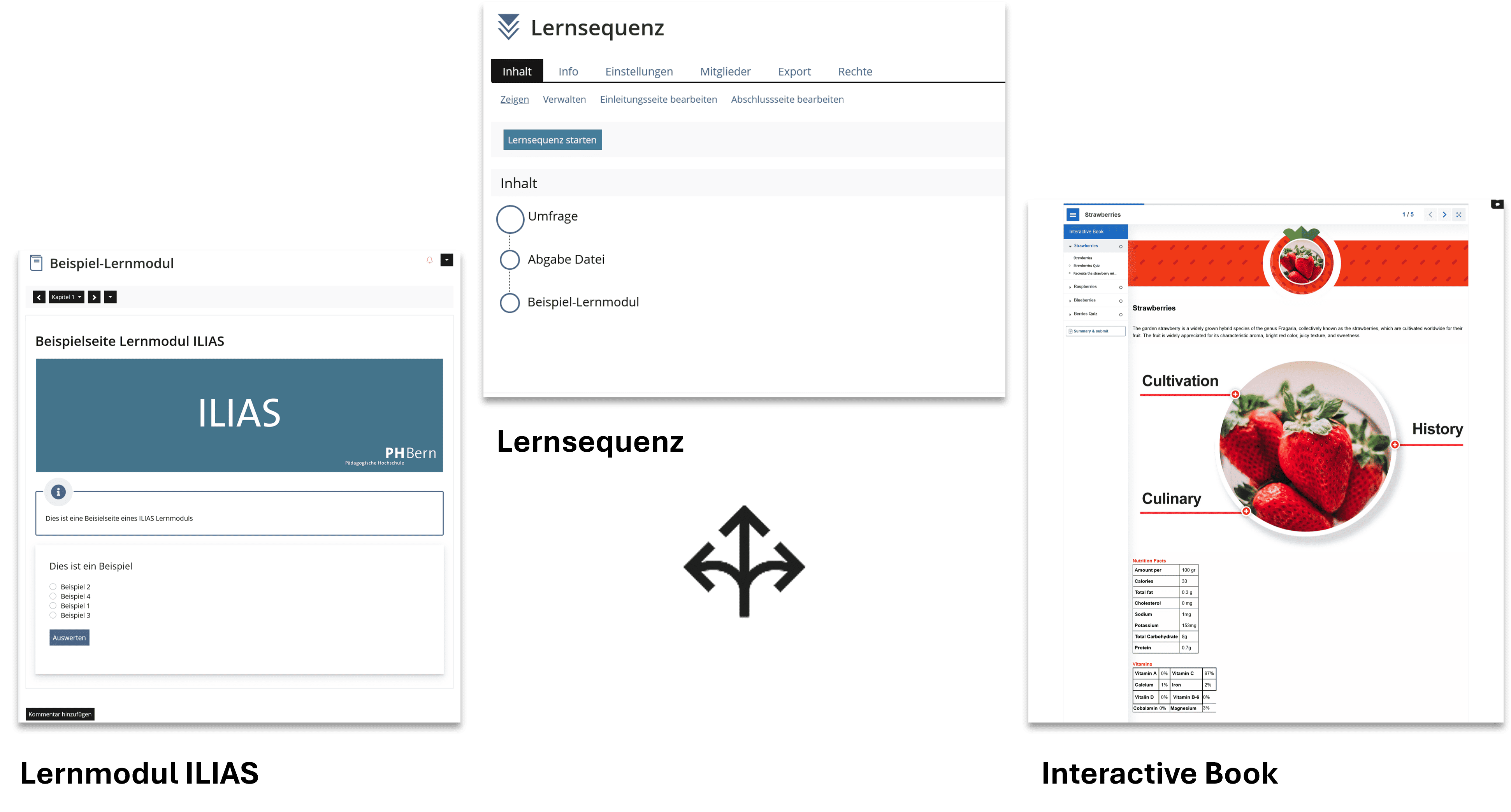 Titlepic new-20251110-132056.png